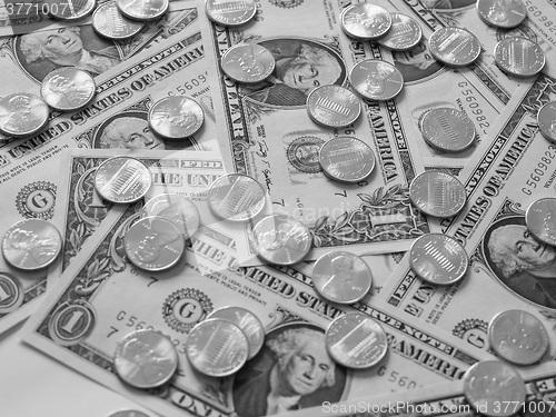 Image of Black and white Dollar coins and notes