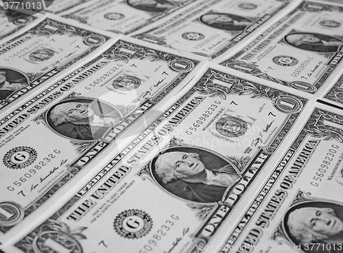 Image of Black and white Dollar notes 1 Dollar