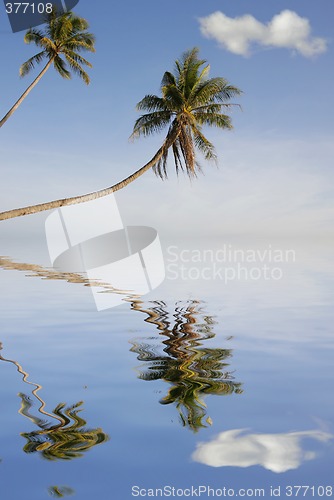 Image of Tropical Scenery