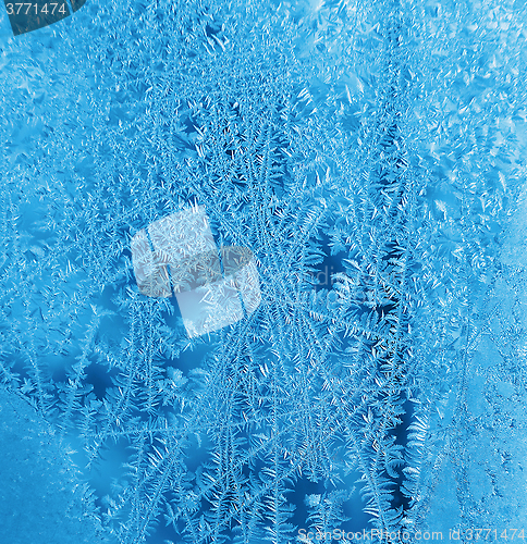 Image of Ice pattern on winter glass