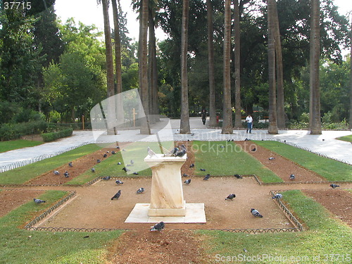 Image of park