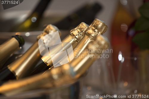 Image of Champagne bottles