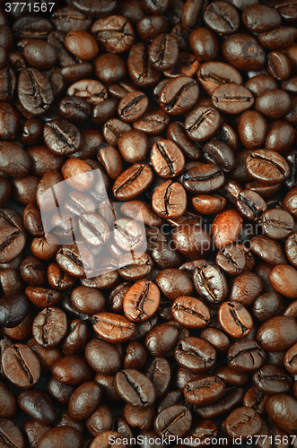 Image of roasted coffee beans