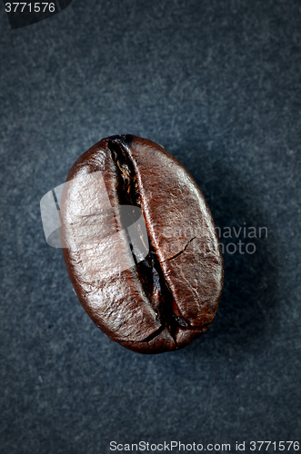 Image of roasted coffee beans