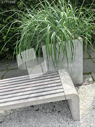 Image of Detail of a garden with decorative grass and bench