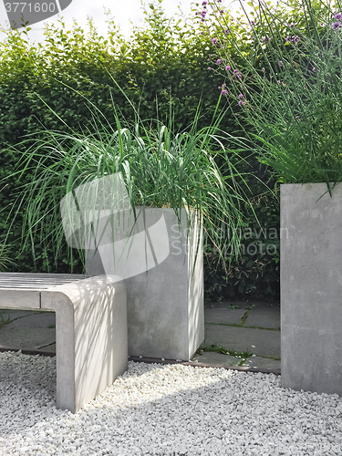 Image of Garden with decorative grass, concrete and stone