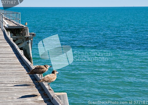 Image of looking out to sea