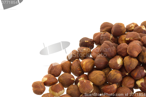 Image of Heap of old hazelnuts