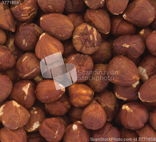 Image of Heap of old hazelnuts