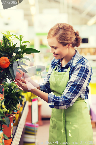 Image of happy woman touching mandarin tree in greenhouse