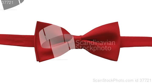 Image of bow tie