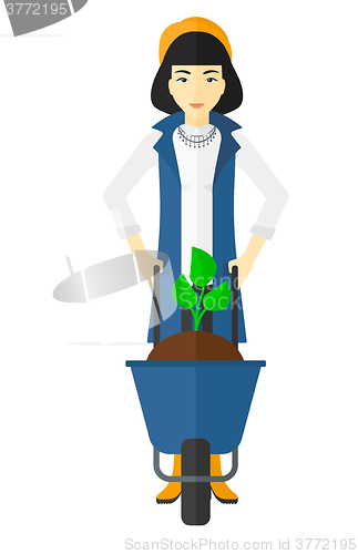 Image of Woman with plant and wheelbarrow.