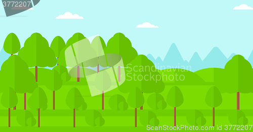 Image of Background of green forest.