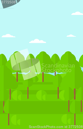 Image of Background of green forest.