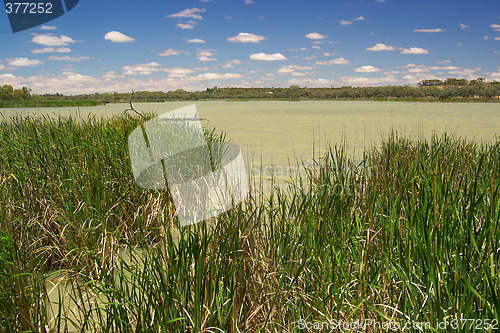 Image of wetlands