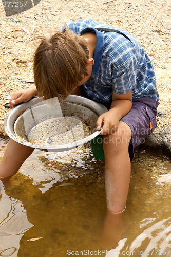 Image of looking for gold