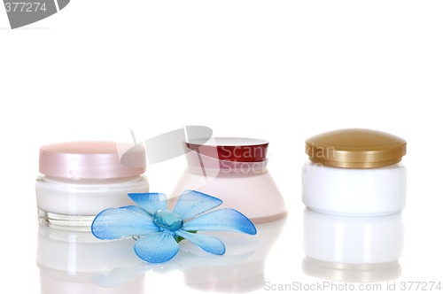 Image of Daily bodycare