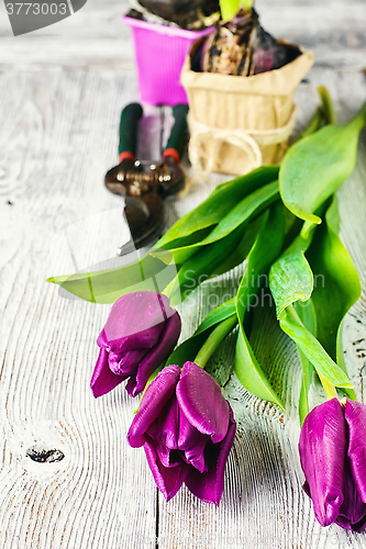 Image of Still life with spring flowers