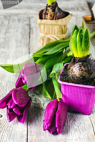 Image of Still life with flowers