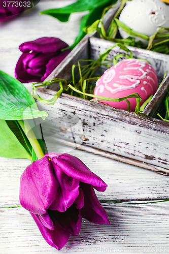 Image of Easter composition with tulips