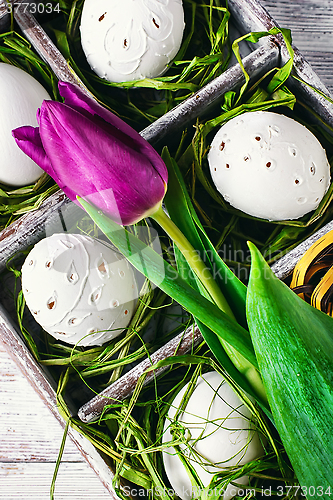 Image of Easter composition with tulips