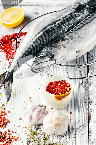 Image of Carcasses frozen mackerel