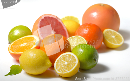 Image of citrus fruits isolated