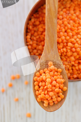 Image of Red lentils in spoon