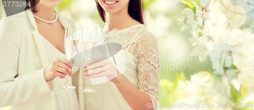 Image of close up of lesbian couple with champagne glasses