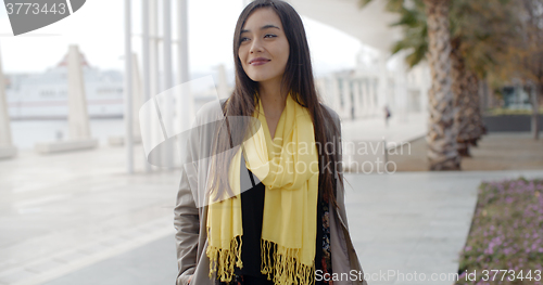 Image of Stylish young woman enjoying a walk in town