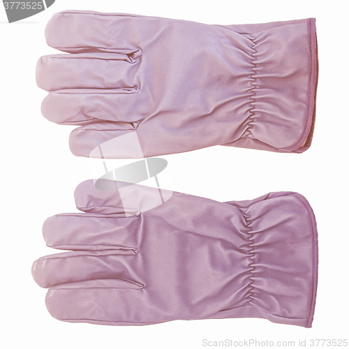 Image of  Gloves picture vintage