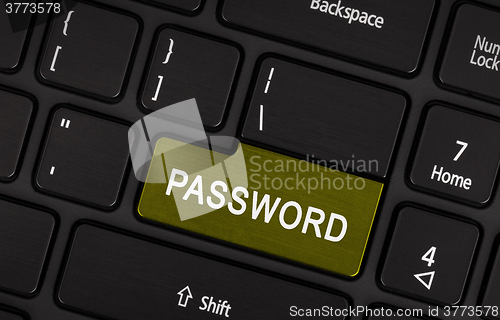 Image of Text password button