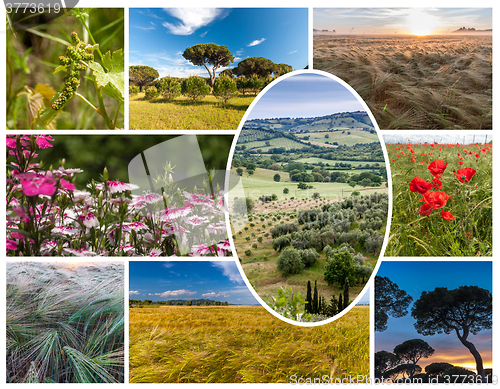 Image of Collage of the hills in Tuscany