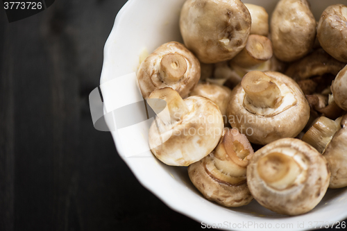 Image of Fresh mushrooms champignons
