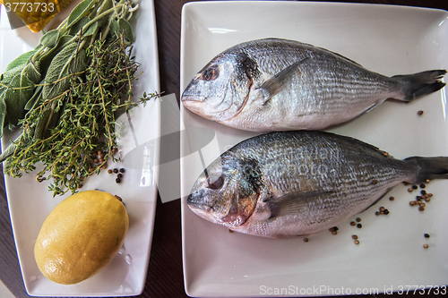Image of Fresh uncooked dorado 