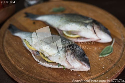 Image of Fresh uncooked dorado 