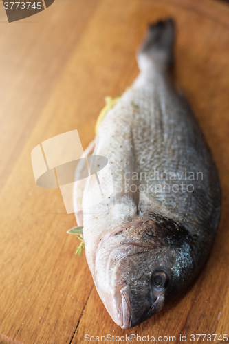 Image of Fresh uncooked dorado 