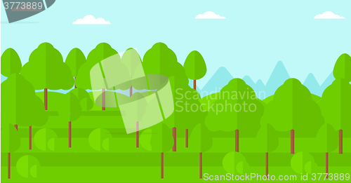 Image of Background of green forest.