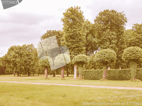 Image of Park Sanssouci in Potsdam vintage