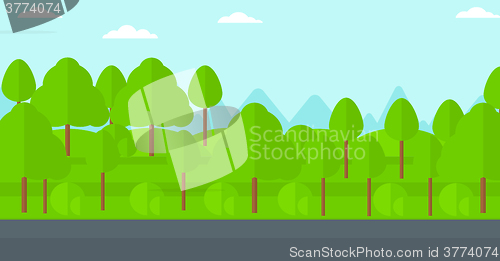 Image of Background of green forest.