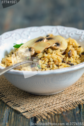 Image of White plate with mushroom risotto.