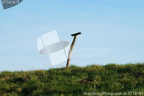 Image of pile on the dike