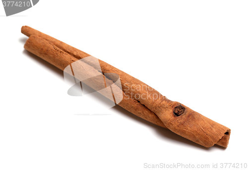 Image of Cinnamon stick. Close-up view.