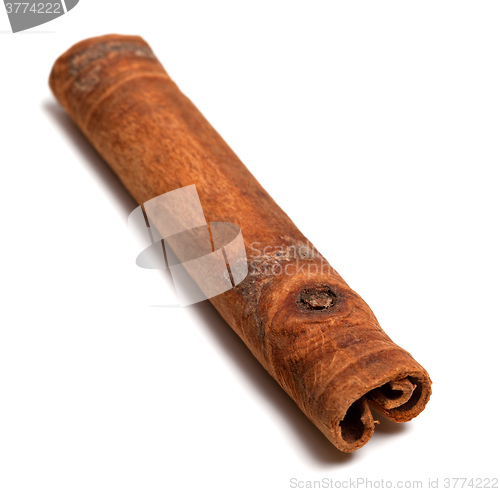 Image of Cinnamon stick on white
