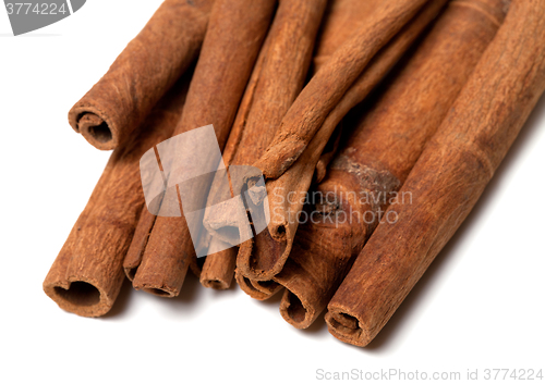 Image of Cinnamon sticks on white
