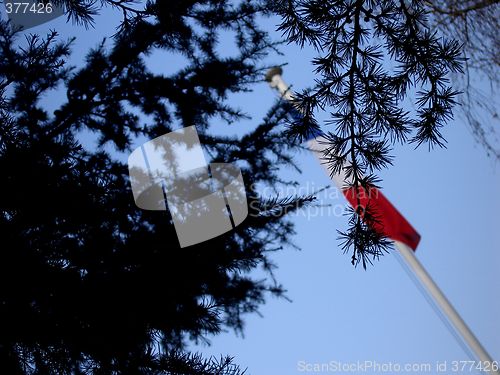 Image of French Flag