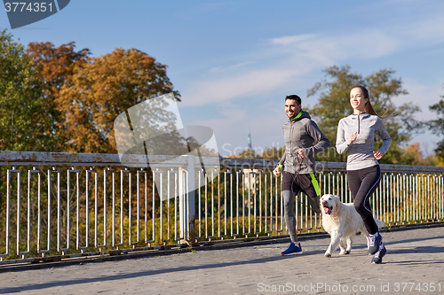 Image of happy couple with dog running outdoors