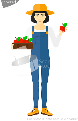 Image of Farmer collecting apples.