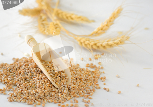 Image of close up of pearl barley