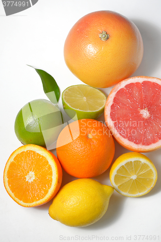 Image of citrus fruits isolated
